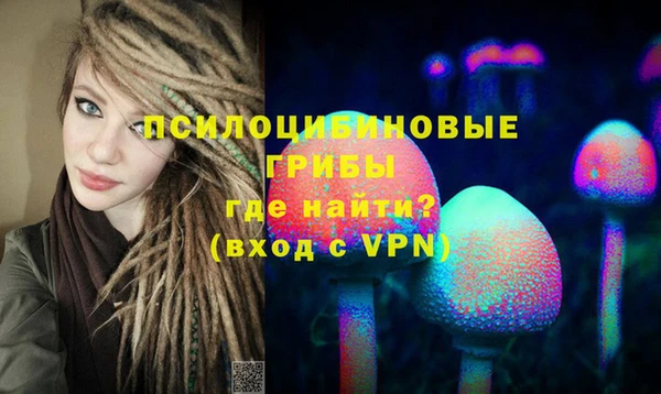 прущий лед Алзамай