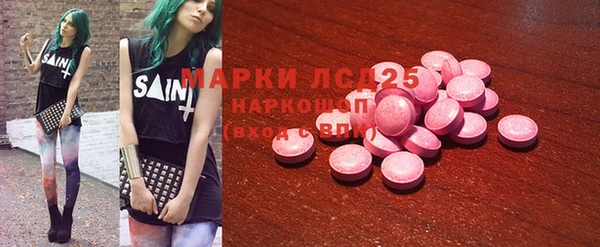 прущий лед Алзамай