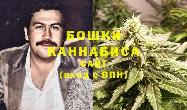 PSILOCYBIN Алексин