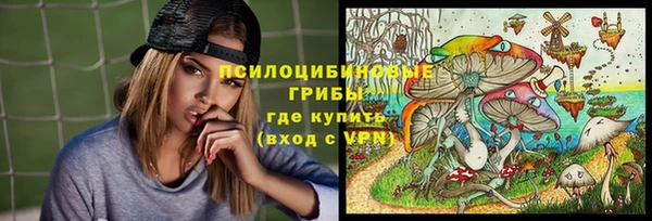 PSILOCYBIN Алексин