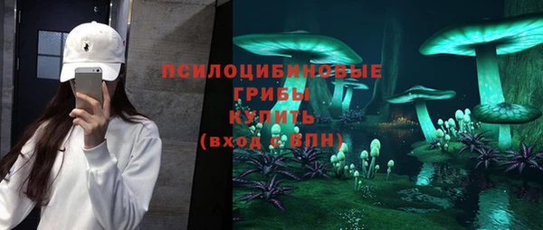 PSILOCYBIN Алексин
