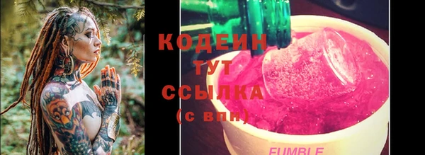гашик Нея