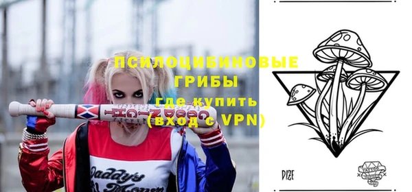 PSILOCYBIN Алексин