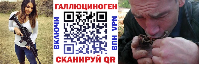 Псилоцибиновые грибы Cubensis  магазин продажи наркотиков  Сосновый Бор 